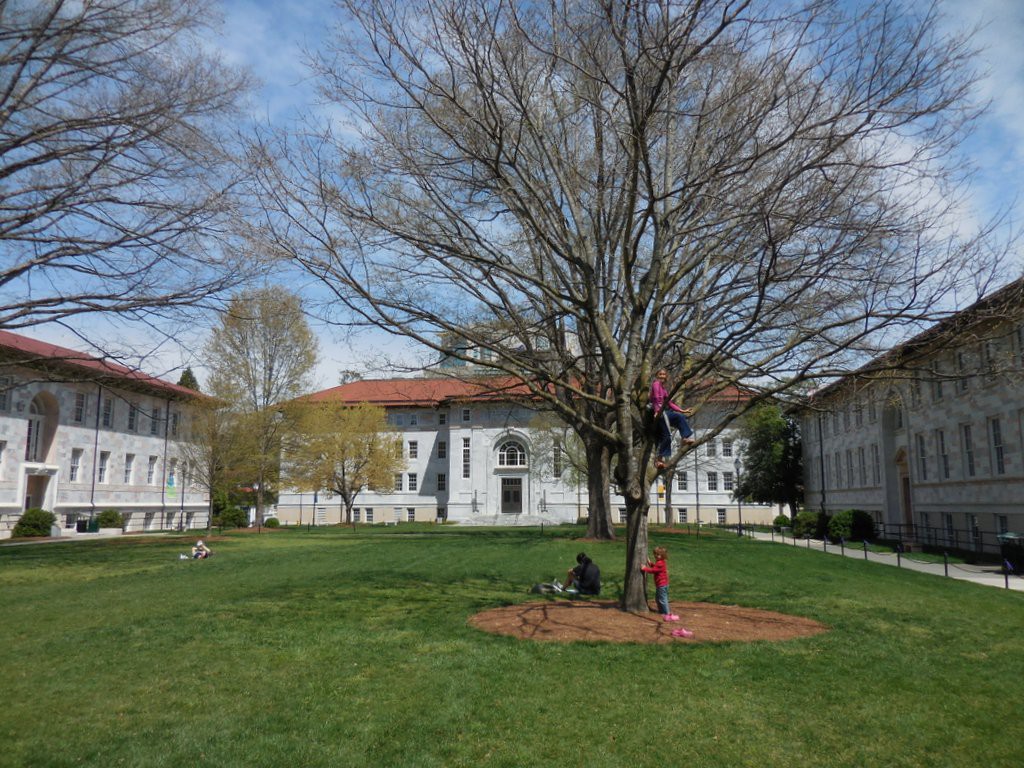 The Quad 