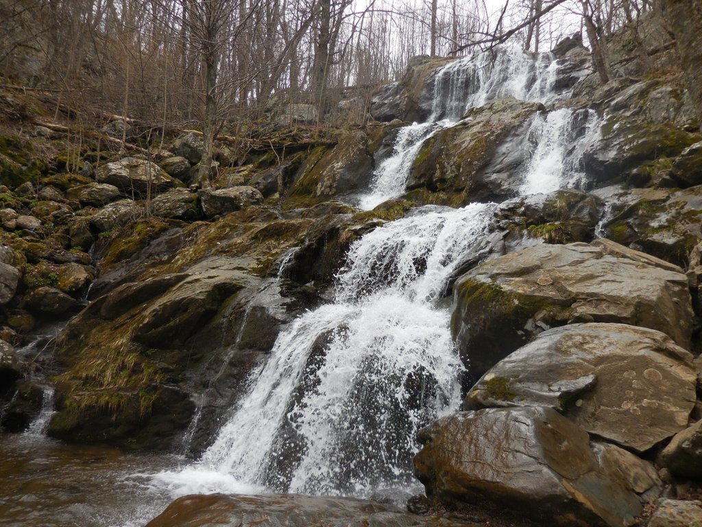 Beautiful Shenandoah | Chop Chop Billy Goat