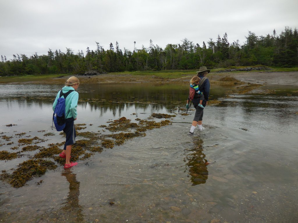 Wading to Ross Island