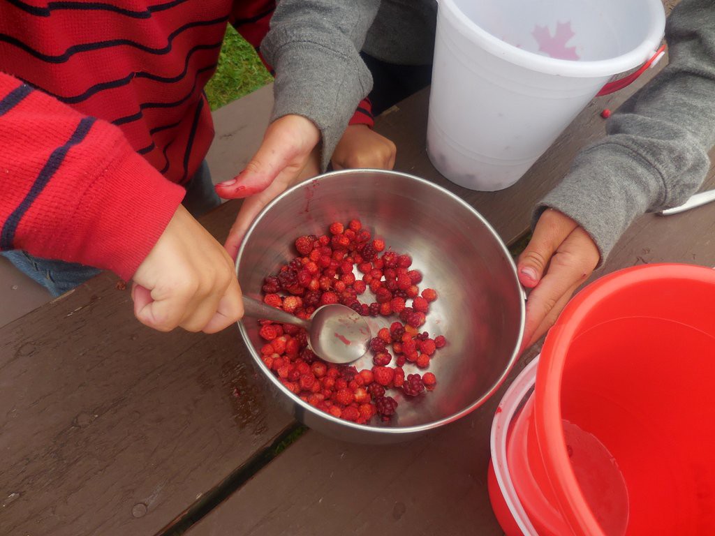 Making Jam