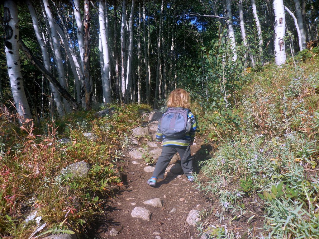 Our little hiker