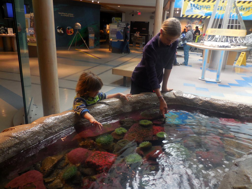 Touch tank