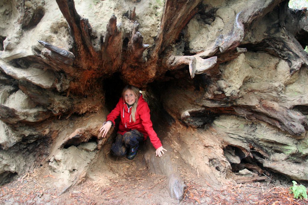 Me climbing through some roots